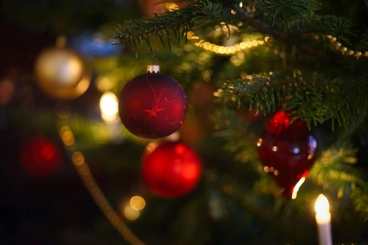 a christmas tree lit up at night